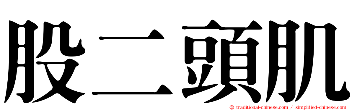 股二頭肌