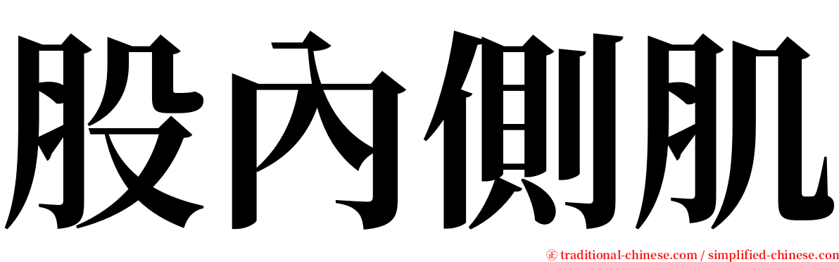 股內側肌 serif font