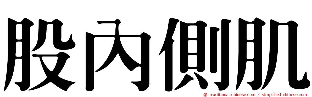 股內側肌