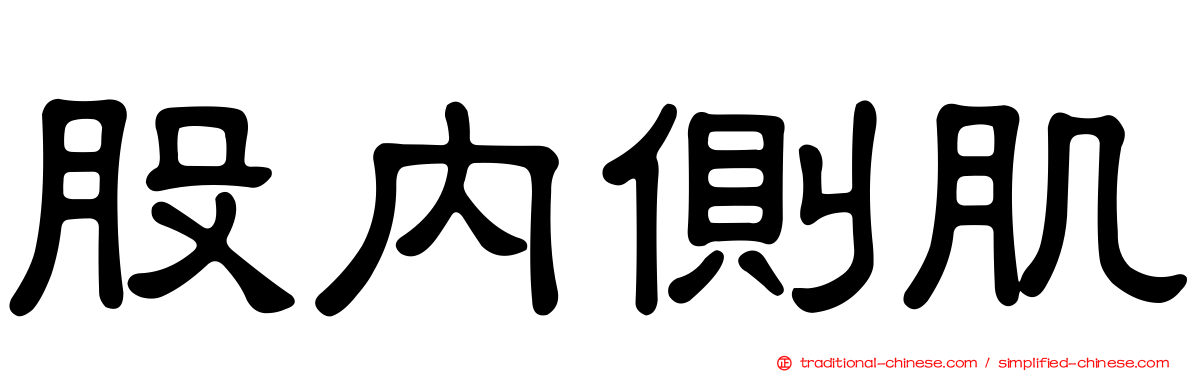 股內側肌