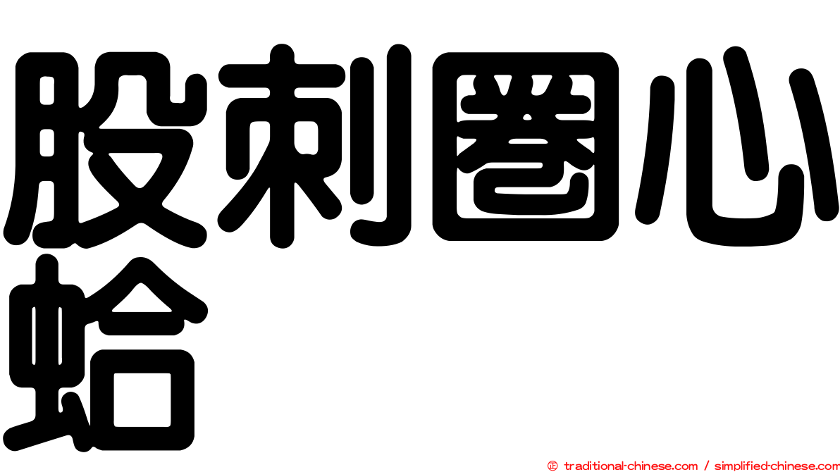 股刺圈心蛤