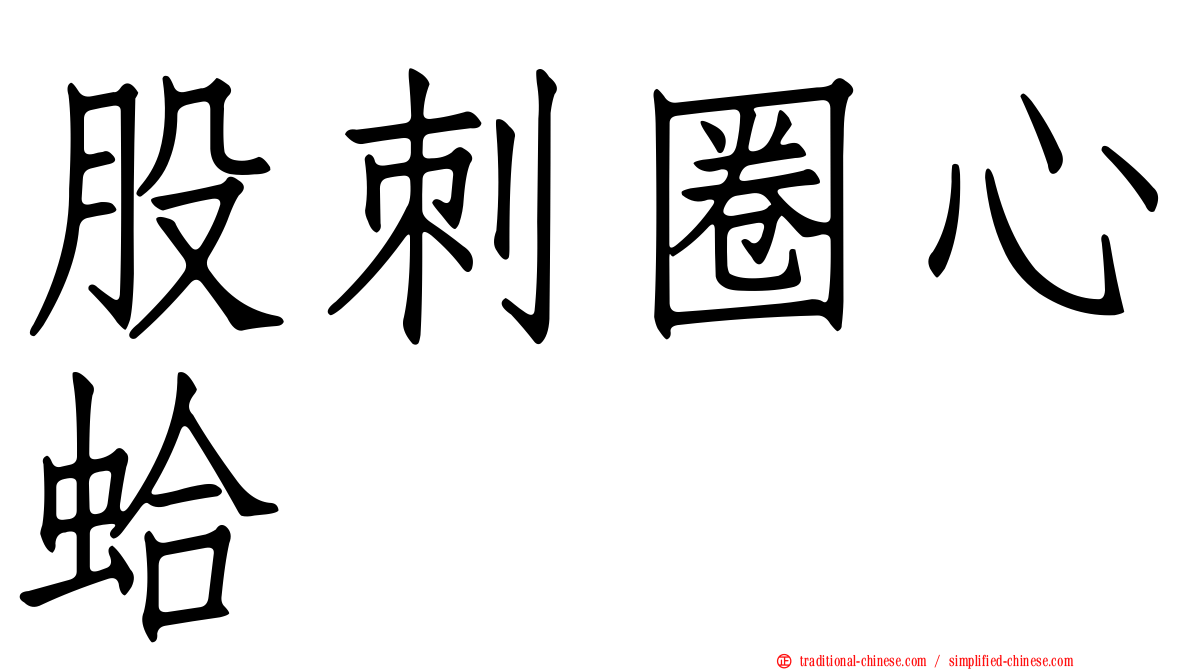 股刺圈心蛤