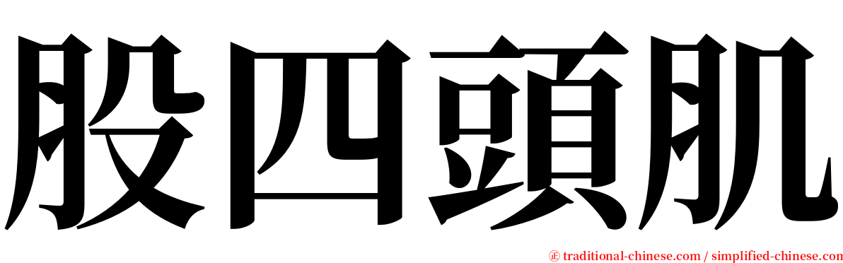 股四頭肌 serif font