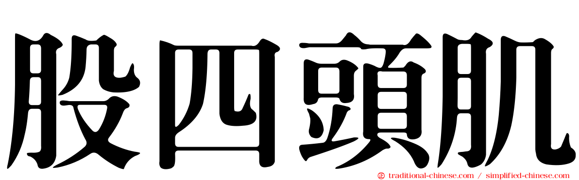 股四頭肌