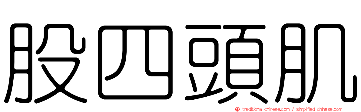 股四頭肌