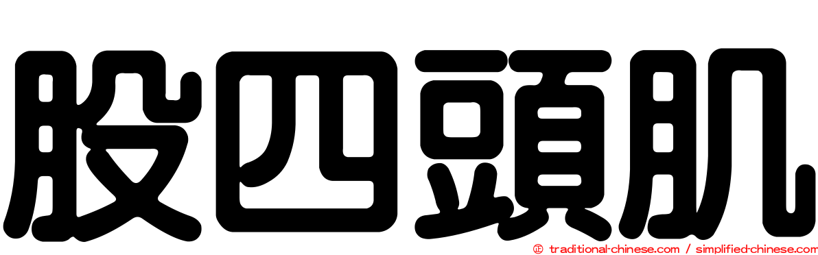 股四頭肌