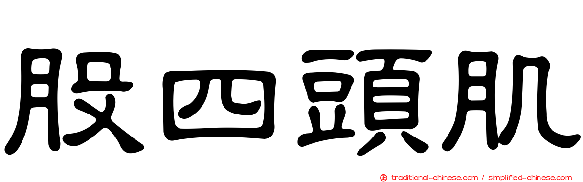 股四頭肌