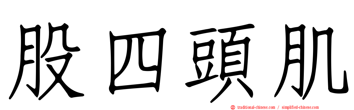 股四頭肌
