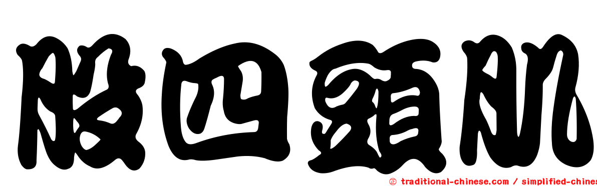 股四頭肌