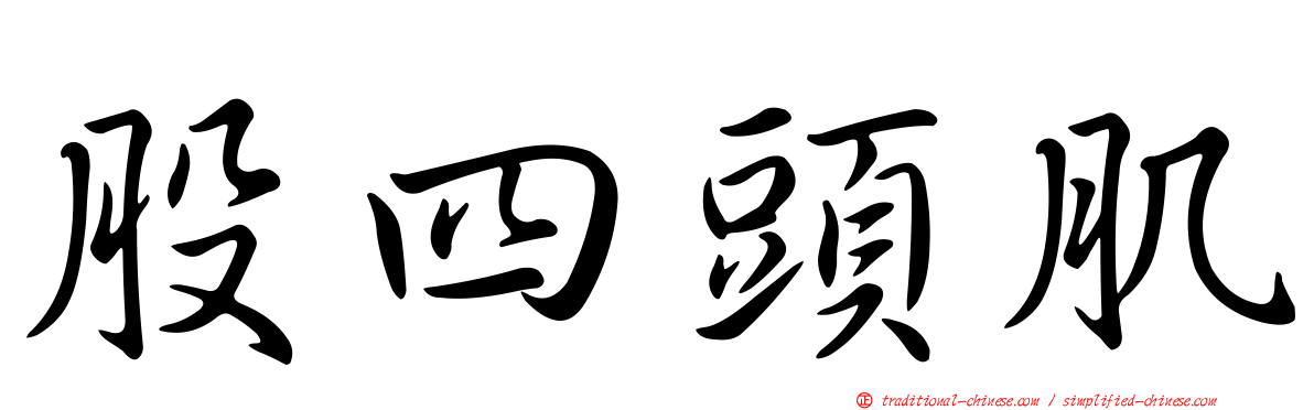 股四頭肌