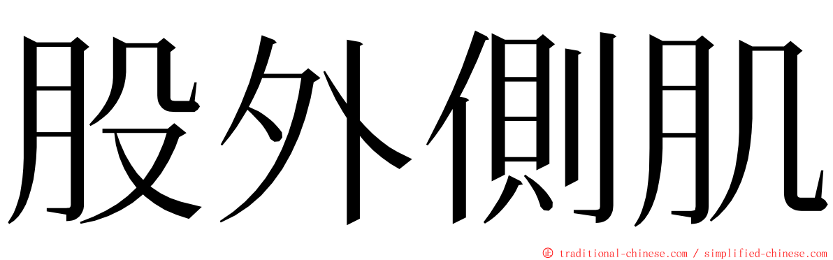 股外側肌 ming font