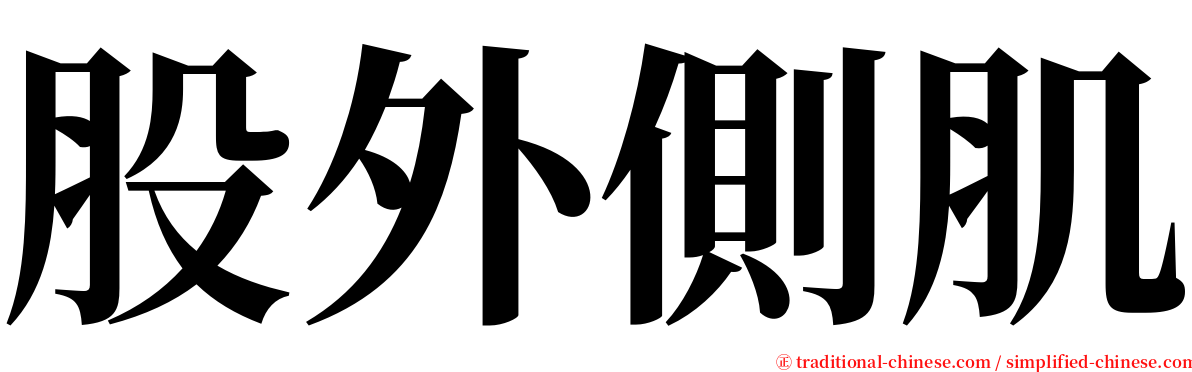 股外側肌 serif font
