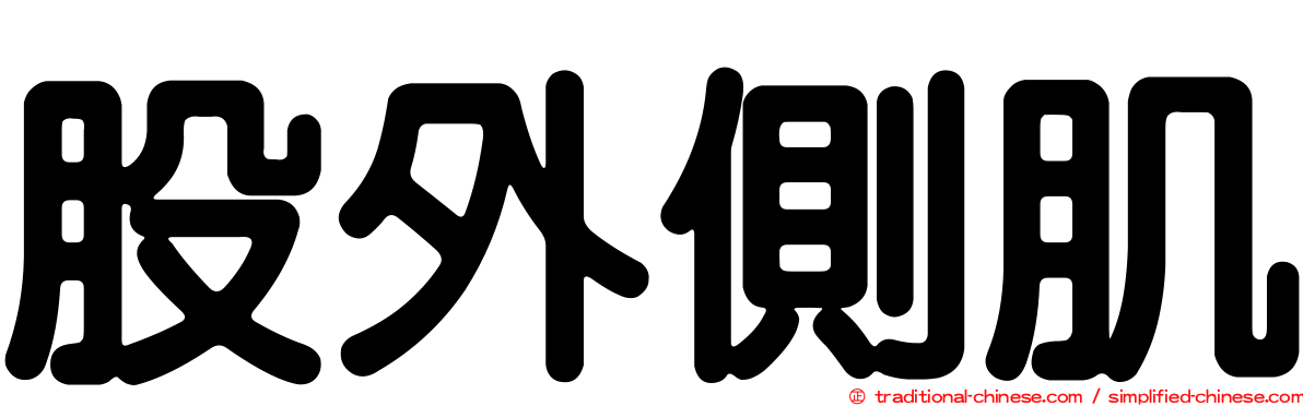 股外側肌