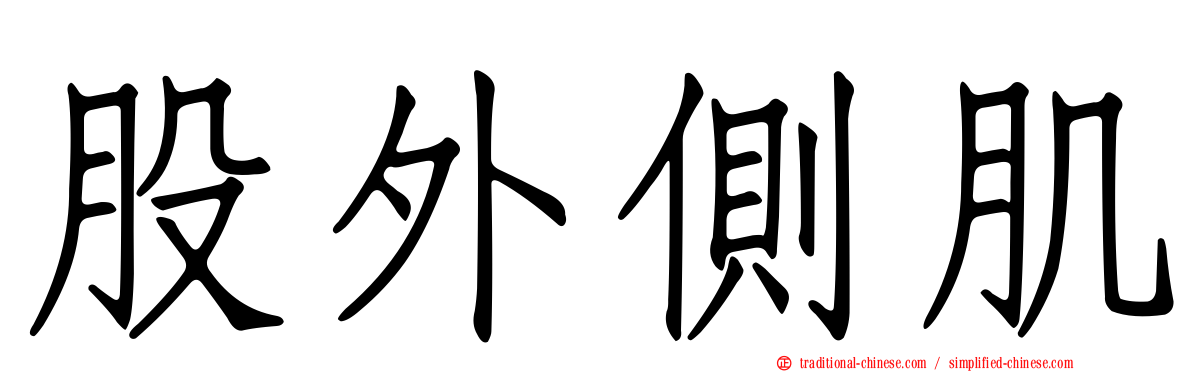 股外側肌