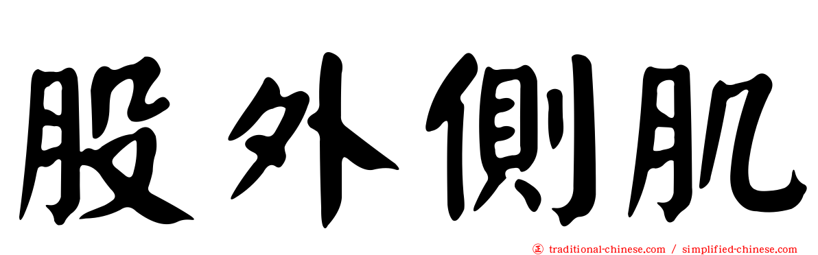 股外側肌
