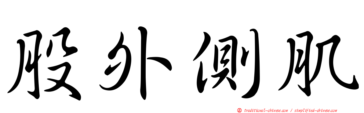 股外側肌