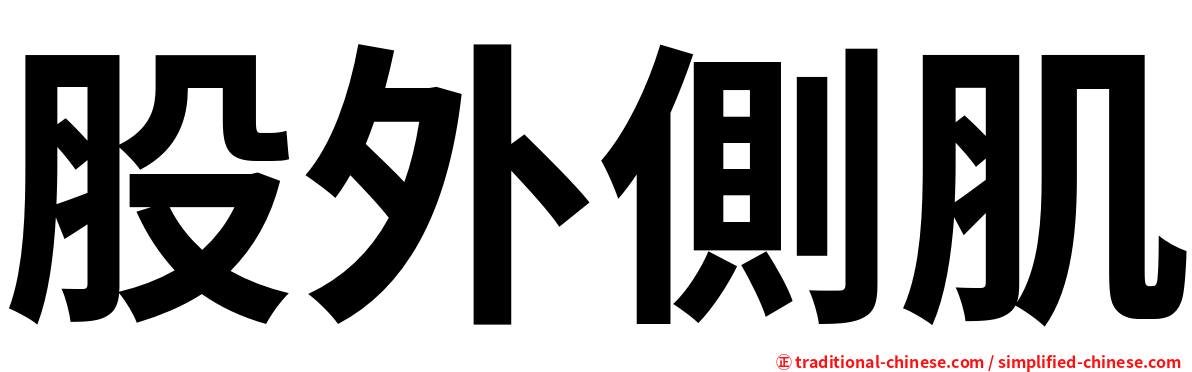 股外側肌