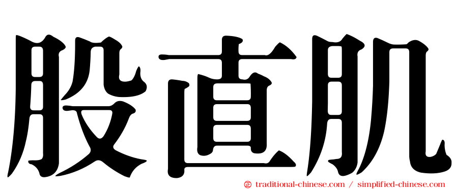 股直肌