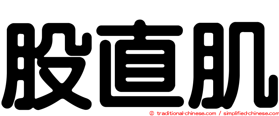 股直肌