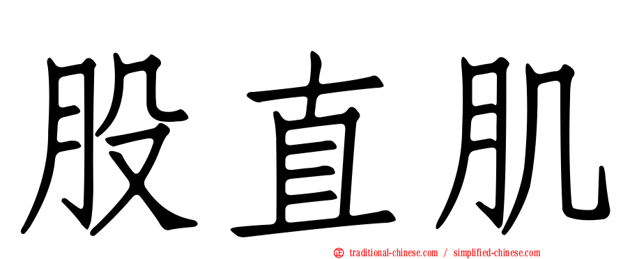 股直肌