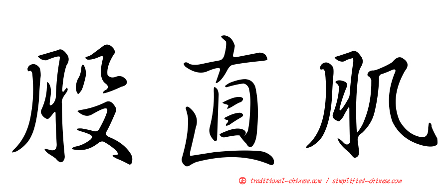 股直肌