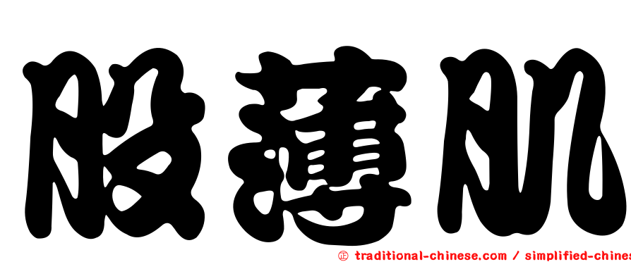 股薄肌