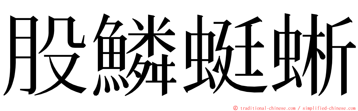 股鱗蜓蜥 ming font