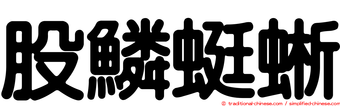 股鱗蜓蜥