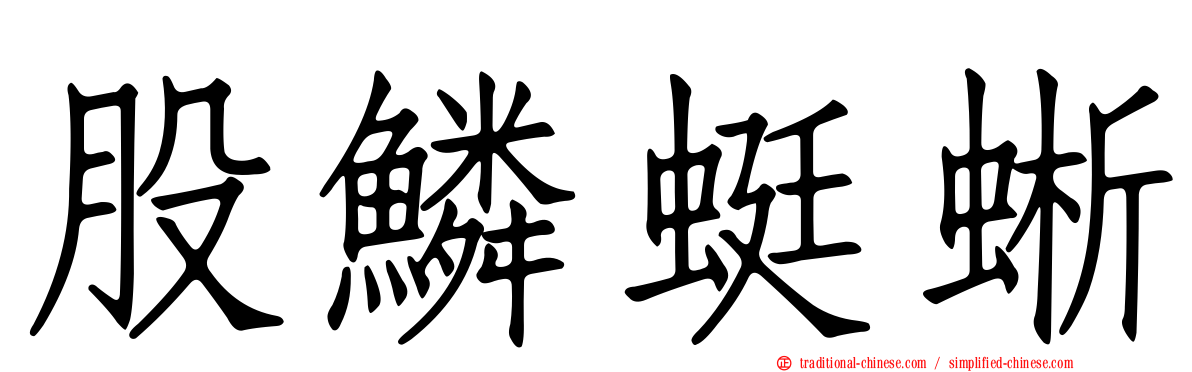 股鱗蜓蜥