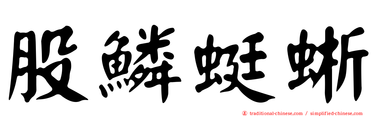 股鱗蜓蜥