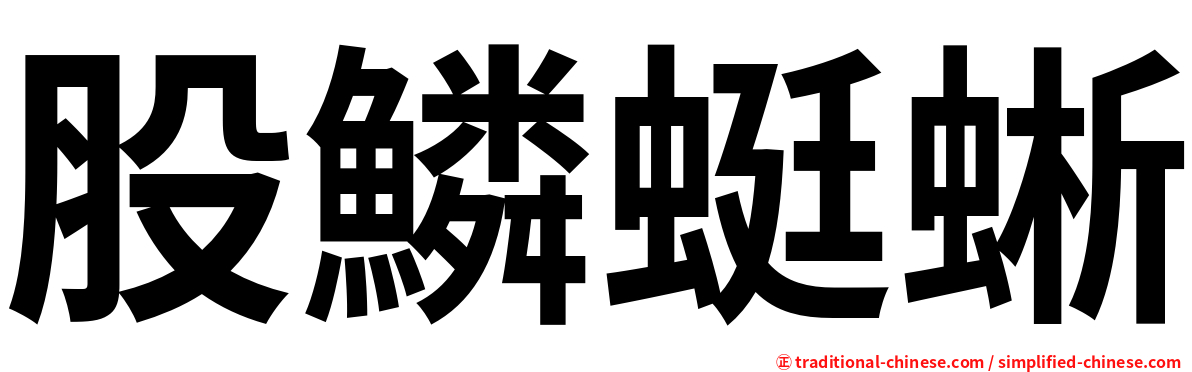 股鱗蜓蜥