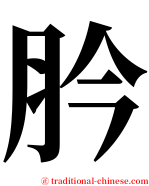 肣 serif font