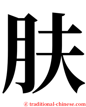 肤 serif font