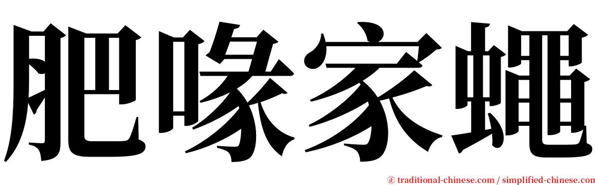 肥喙家蠅 serif font