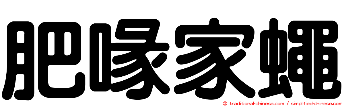 肥喙家蠅