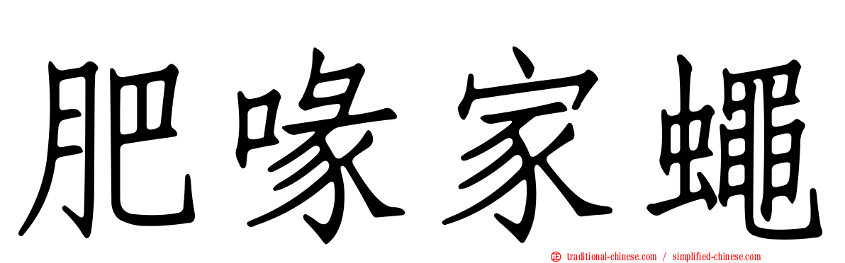 肥喙家蠅