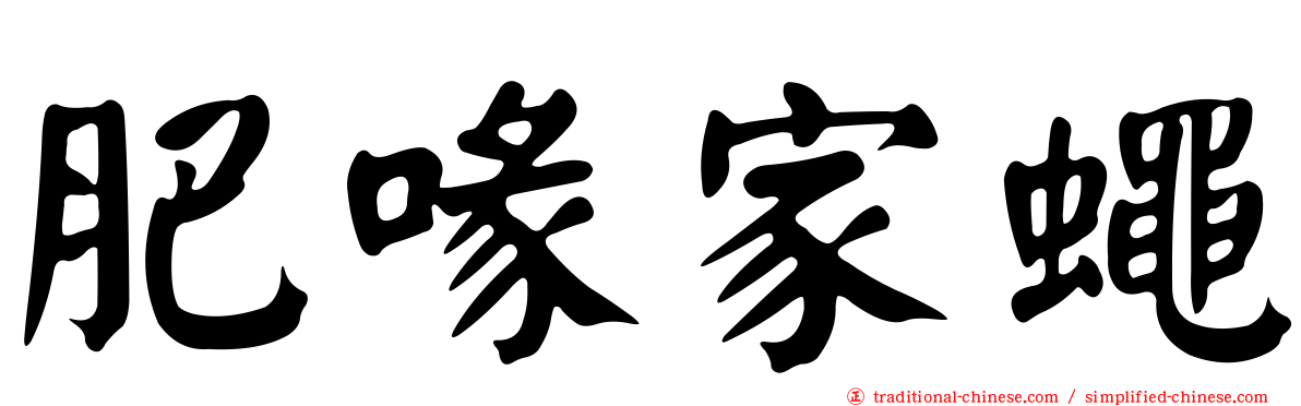 肥喙家蠅