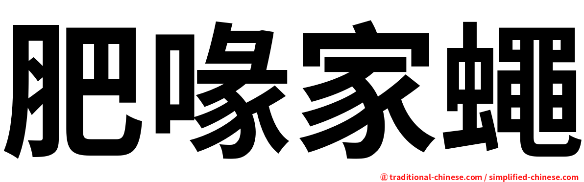 肥喙家蠅