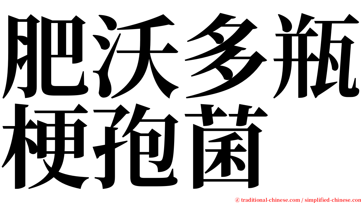 肥沃多瓶梗孢菌 serif font