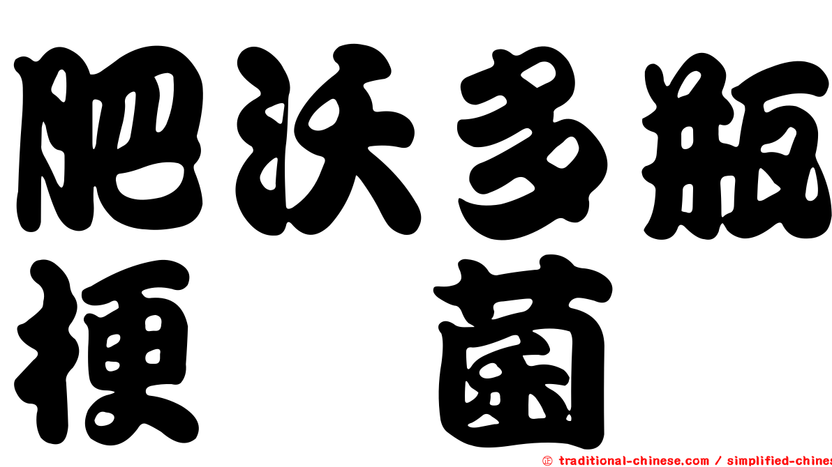 肥沃多瓶梗孢菌