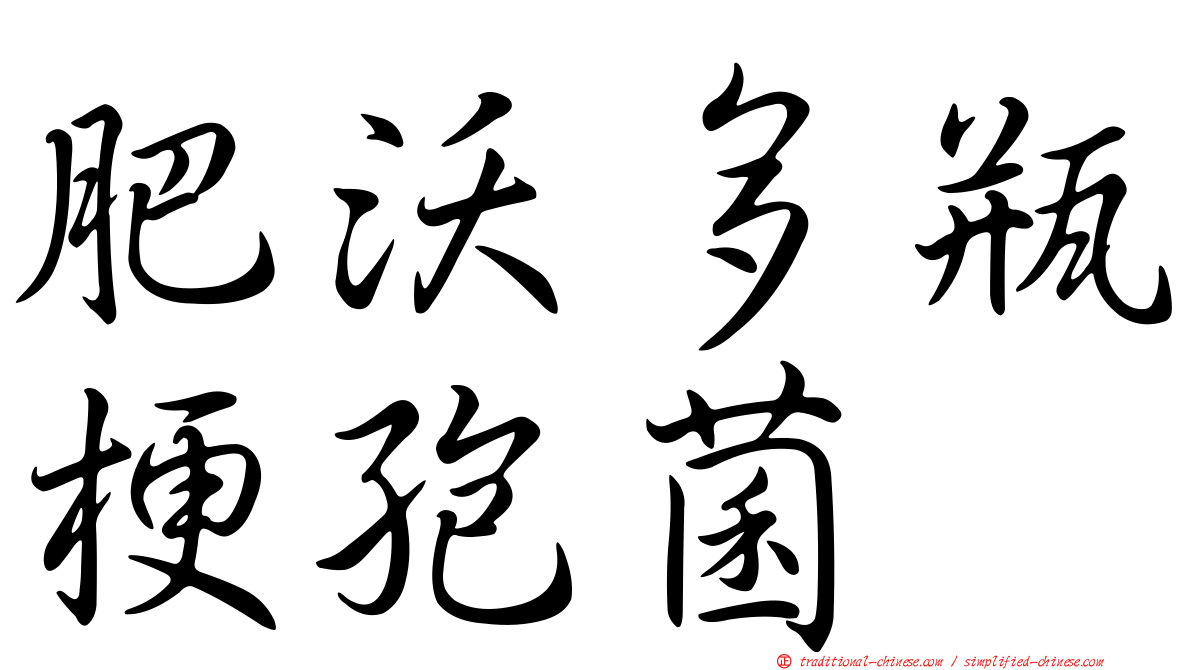 肥沃多瓶梗孢菌
