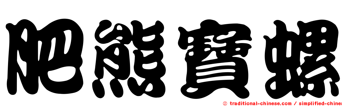 肥熊寶螺