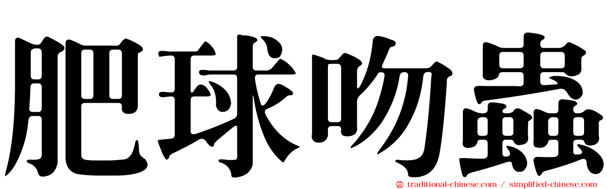 肥球吻蟲