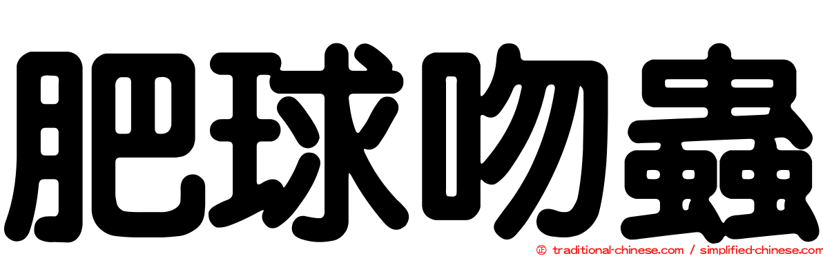 肥球吻蟲