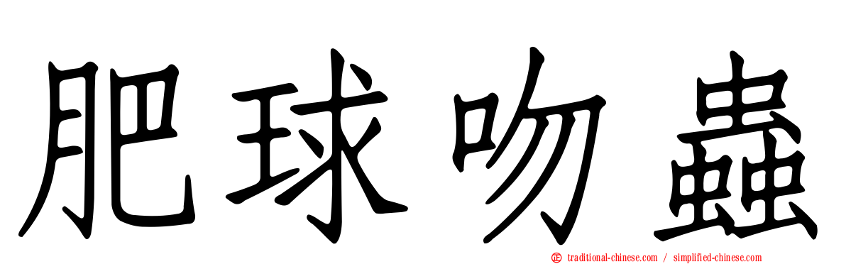肥球吻蟲