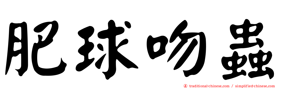 肥球吻蟲