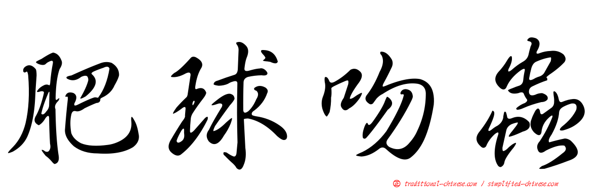 肥球吻蟲