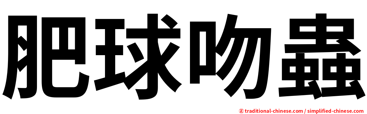 肥球吻蟲