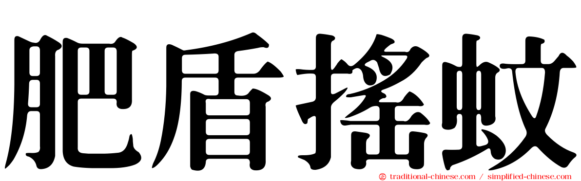 肥盾搖蚊
