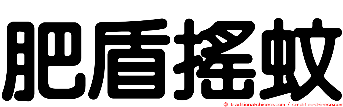 肥盾搖蚊